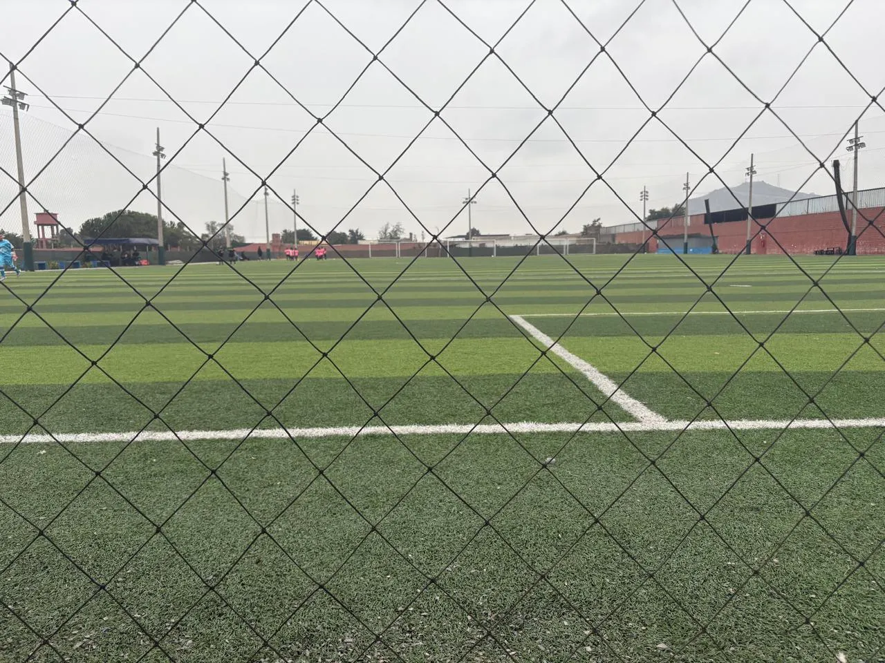 Cancha 5